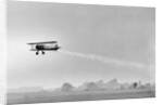Plane Taking Off for DDT Dispersal Flight by Anonymous