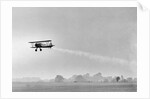 Plane Taking Off for DDT Dispersal Flight by Anonymous