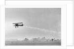 Plane Taking Off for DDT Dispersal Flight by Anonymous