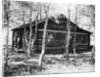 Exterior View of a Log Cabin by Anonymous