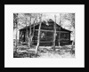 Exterior View of a Log Cabin by Anonymous
