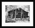Exterior View of a Log Cabin by Anonymous