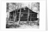 Exterior View of a Log Cabin by Anonymous