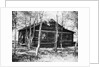 Exterior View of a Log Cabin by Anonymous