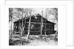 Exterior View of a Log Cabin by Anonymous