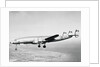 View of Plane Flying Over Hawaii by Anonymous