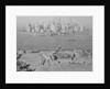 View of Governors Island From Afar by Anonymous