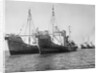 Onassis Whalers Seized by Anonymous
