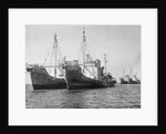 Onassis Whalers Seized by Anonymous