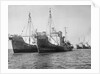 Onassis Whalers Seized by Anonymous