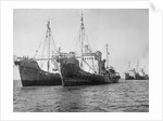 Onassis Whalers Seized by Anonymous
