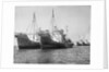 Onassis Whalers Seized by Anonymous