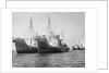 Onassis Whalers Seized by Anonymous