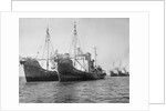 Onassis Whalers Seized by Anonymous