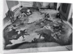 View of Restoration of Painting, Apotheosis of a Venetian Nobleman by Anonymous