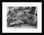 View of Restoration of Painting, Apotheosis of a Venetian Nobleman by Anonymous