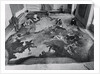 View of Restoration of Painting, Apotheosis of a Venetian Nobleman by Anonymous