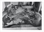 View of Restoration of Painting, Apotheosis of a Venetian Nobleman by Anonymous