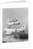 Flight of F-86 Sabrejets Guard the Philippines by Anonymous