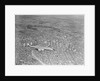 Airplane Flying Over Los Angeles by Anonymous