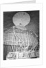 Radar Antenna at RCAF by Anonymous