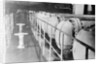 Atomic Power Station by Anonymous