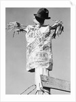 Scarecrow by Anonymous