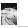Futuristic View of the World by Anonymous