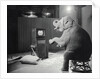 Elephant Watching Television by Anonymous