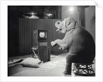 Elephant Watching Television by Anonymous