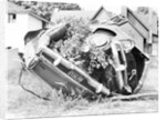 Car Wrapped Around a Tree by Anonymous