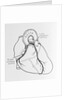 Heart Diagram by Anonymous