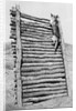 Army Sentry Dog Scales Wall by Anonymous