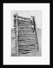 Army Sentry Dog Scales Wall by Anonymous