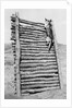 Army Sentry Dog Scales Wall by Anonymous