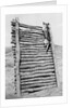 Army Sentry Dog Scales Wall by Anonymous