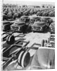 Parking Lot Toyota Cars by Anonymous