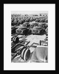 Parking Lot Toyota Cars by Anonymous