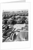 Parking Lot Toyota Cars by Anonymous