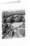 Parking Lot Toyota Cars by Anonymous