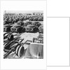 Parking Lot Toyota Cars by Anonymous