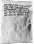 Photo of Pumpkin Papers by Anonymous