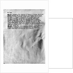 Photo of Pumpkin Papers by Anonymous