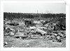 View of Storm Torn Site by Anonymous