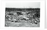 View of Storm Torn Site by Anonymous