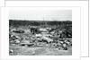 View of Storm Torn Site by Anonymous