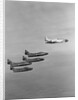 The Lockheed T2V-1 SeaStar Teaming up with the Blue Angels Stunt Team by Anonymous
