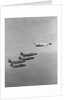 The Lockheed T2V-1 SeaStar Teaming up with the Blue Angels Stunt Team by Anonymous