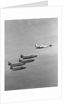 The Lockheed T2V-1 SeaStar Teaming up with the Blue Angels Stunt Team by Anonymous