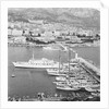View of Yachts Alongside Shore by Anonymous